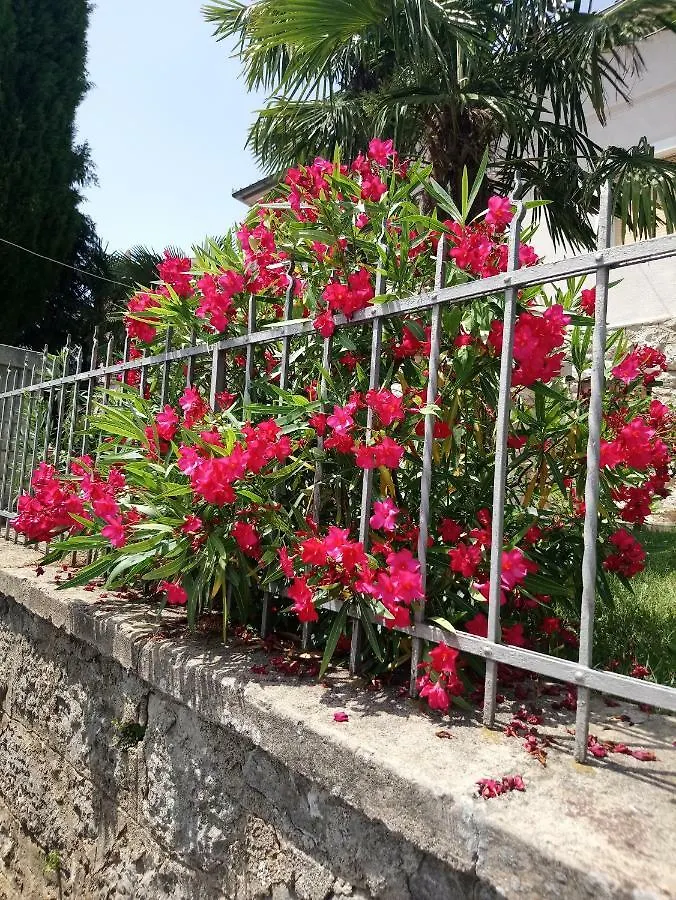Charming Hill Apartment Opatija
